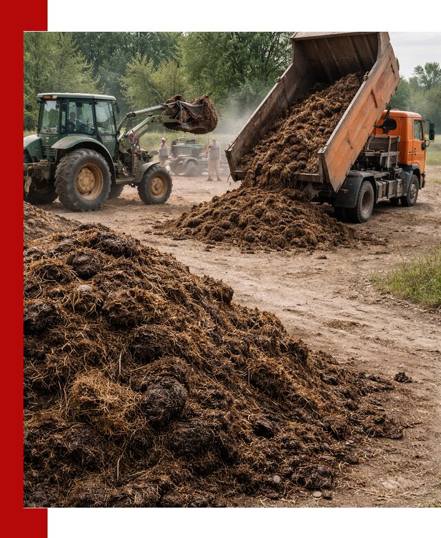 Доставка навоза самосвалами в Кольчугине для сельхозпотребностей